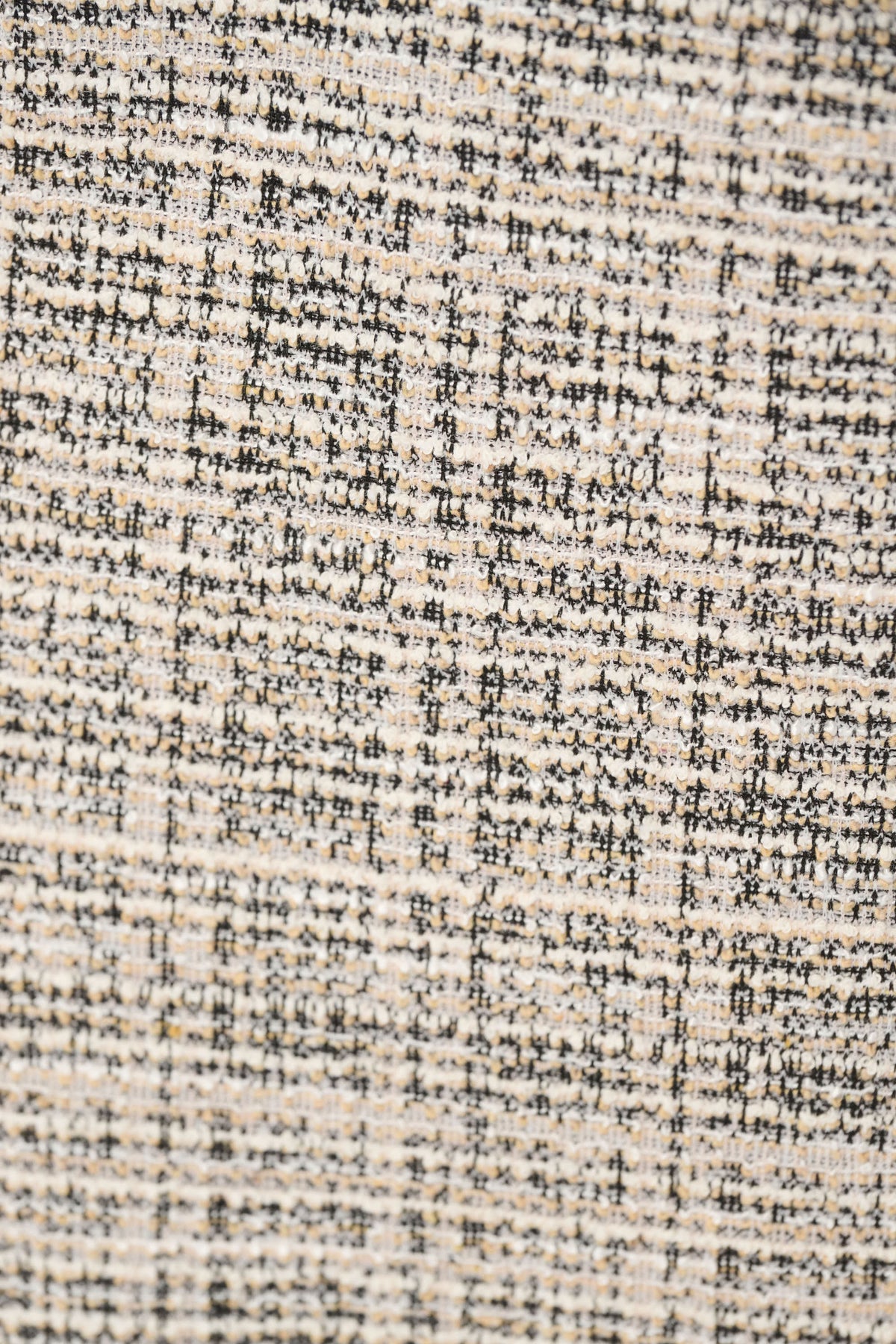 264079-1109-6.jpg