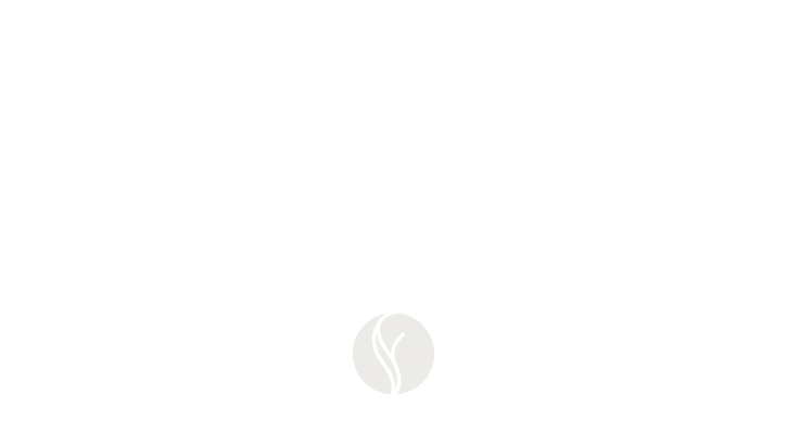 brooks-logo-es