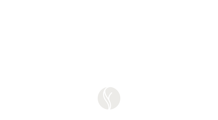 brooks-logo-it