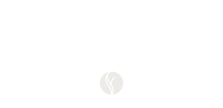 brooks-logo-de