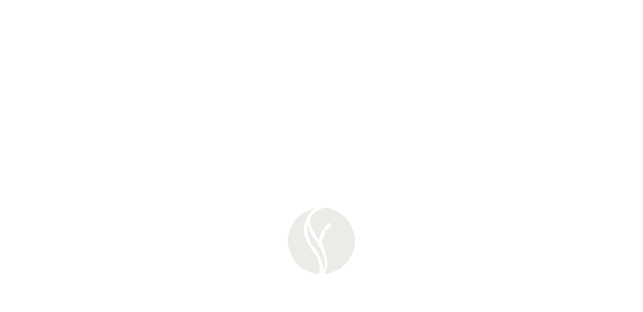 brooks-logo-es