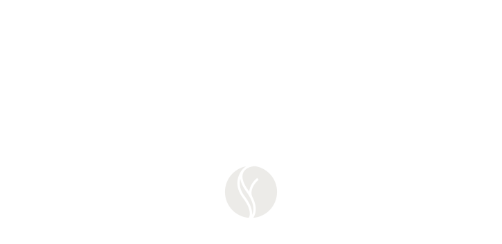 brooks-logo-it